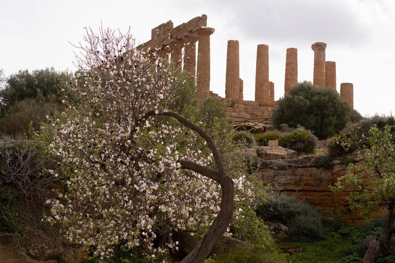 Il Portoncino ^ Apt.^ Agrigento Eksteriør billede